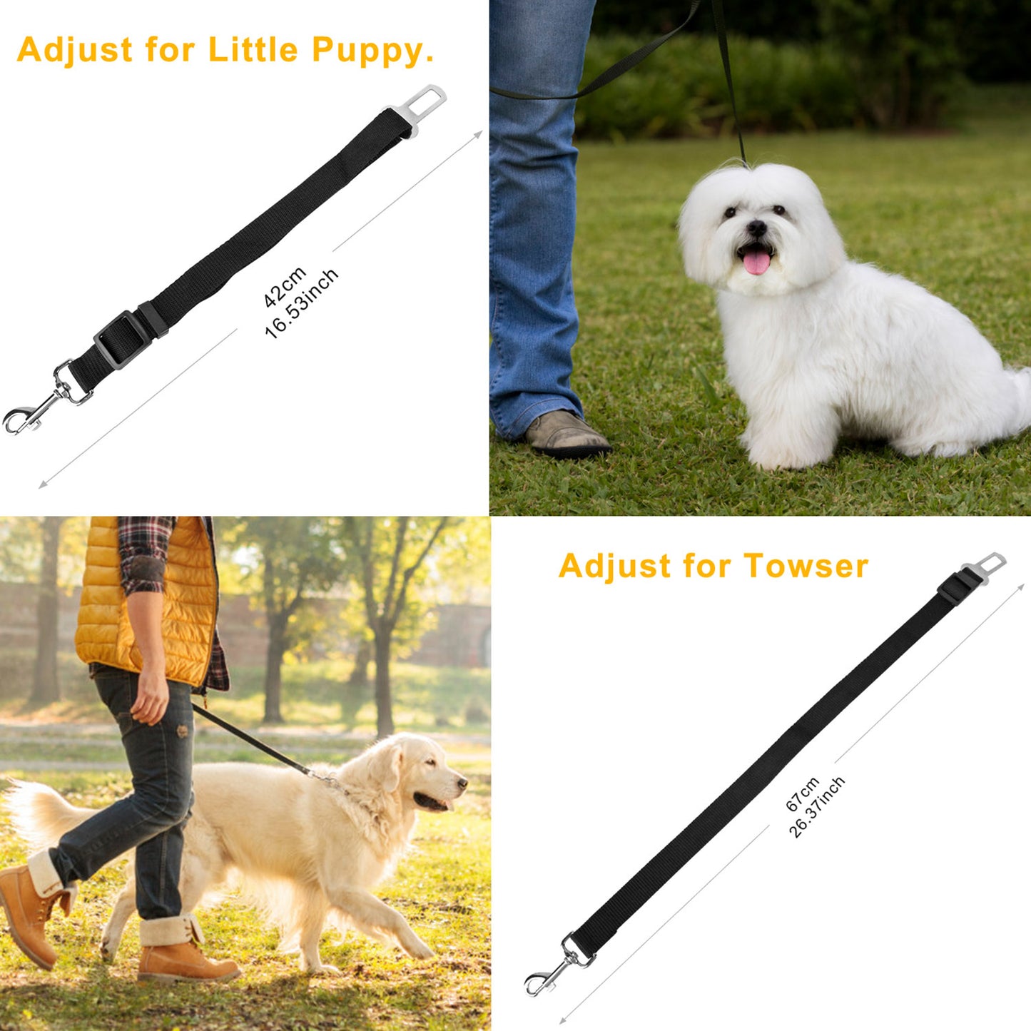 Dog Seat Belt Leash