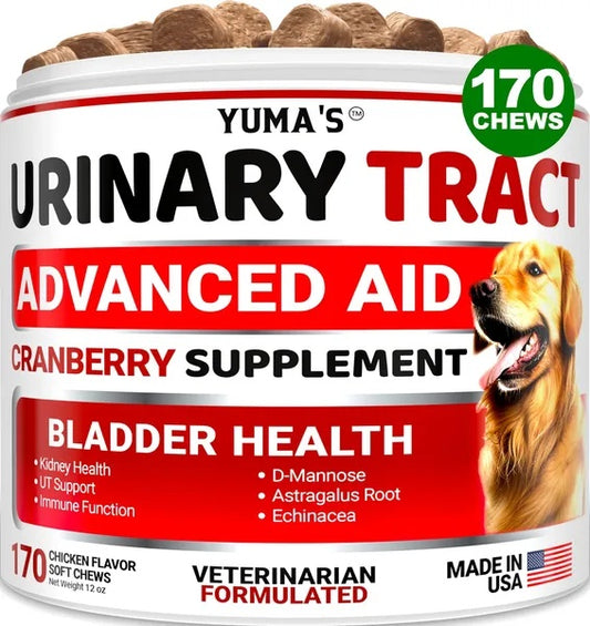 Dog UTI Treatment