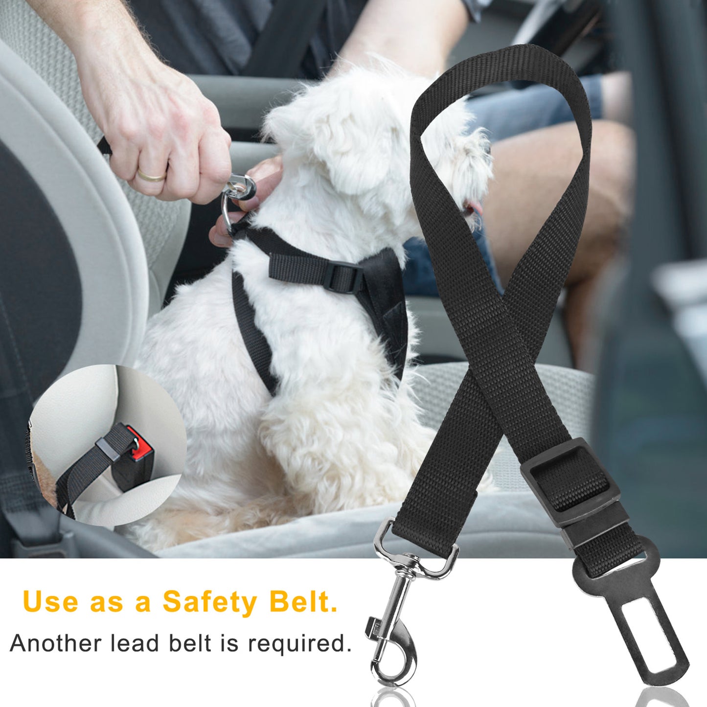 Dog Seat Belt Leash