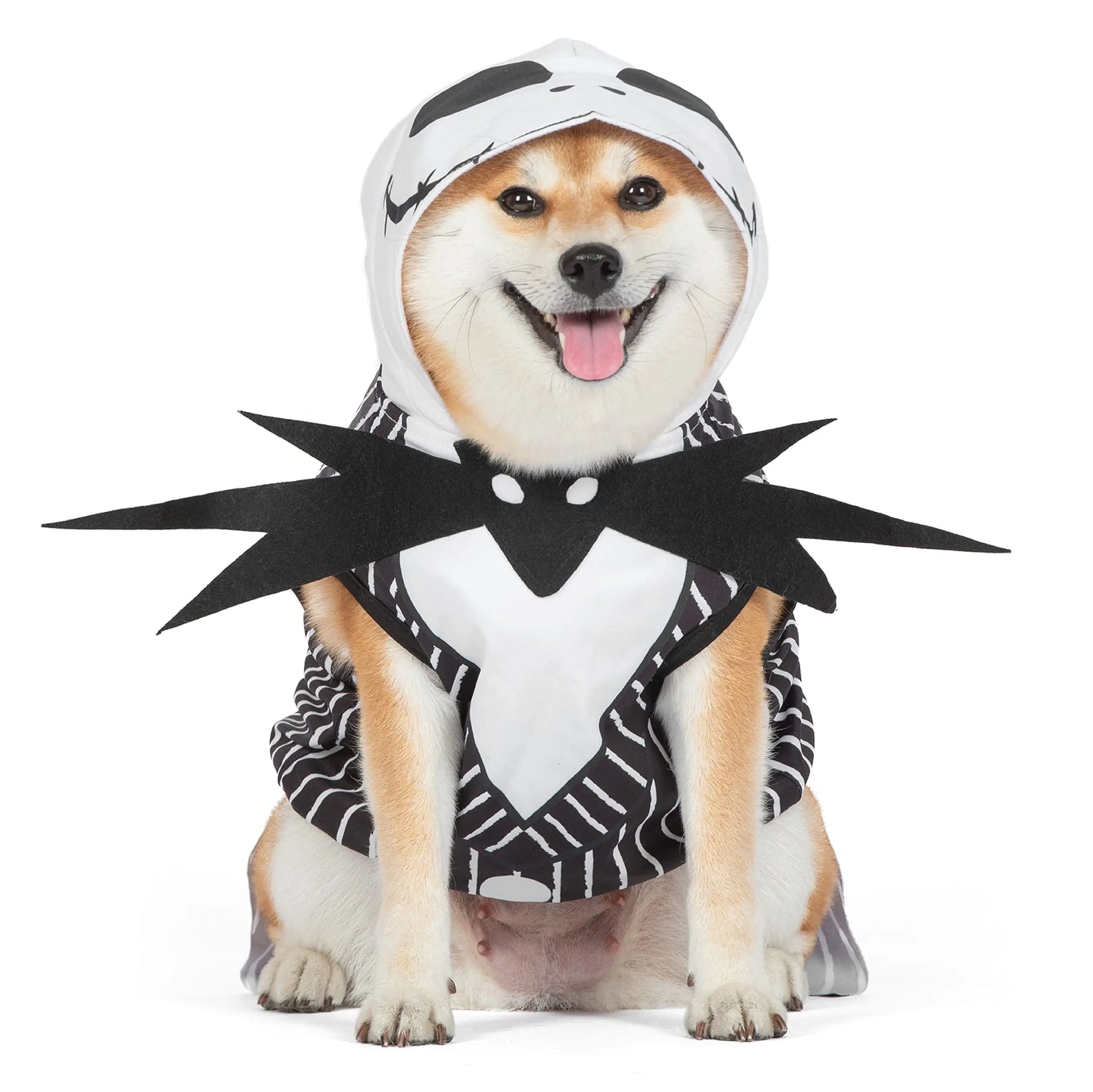 Disney for Pets Halloween Nightmare