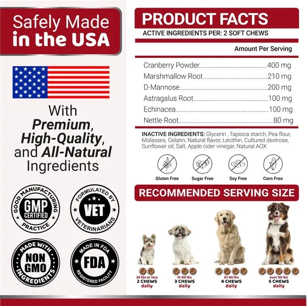 Dog UTI Treatment