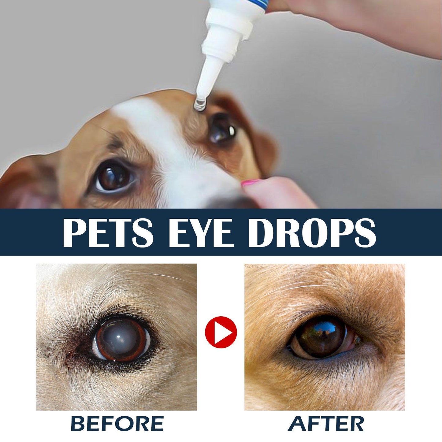 Pet Eye Drops for Cats and Dogs