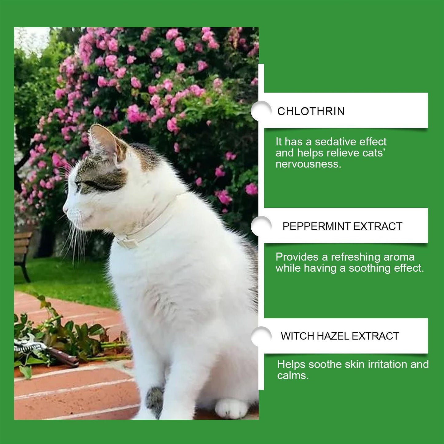 Yegebang Cat Emotional Care Set