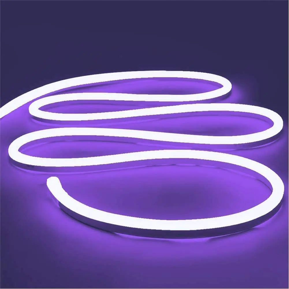 Flexible Sign Neon Lights Silicone Tube LED Strip Waterproof USA