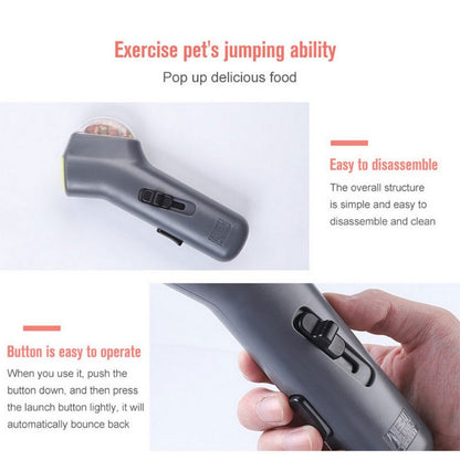 Dog Interactive Training Toy