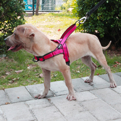 Dog Chest Harness