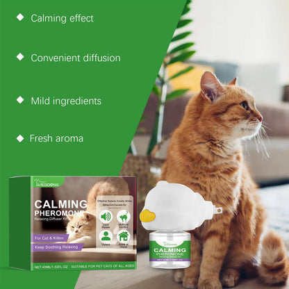 Yegebang Cat Emotional Care Set