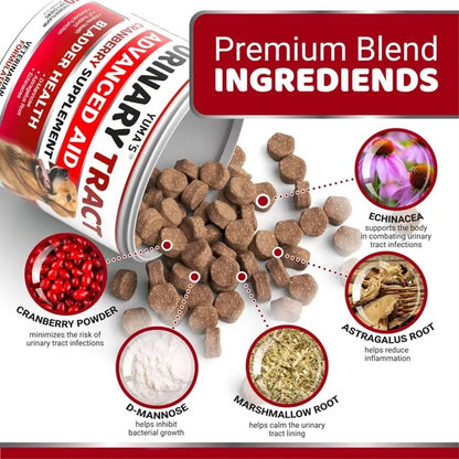 Dog UTI Treatment