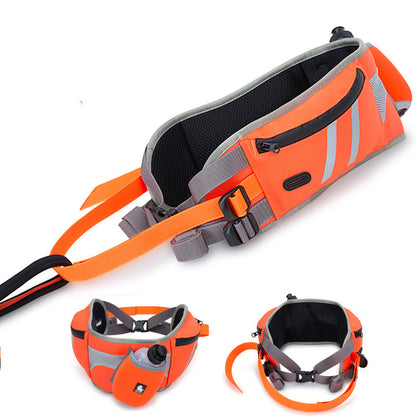 Dog Training Pockets