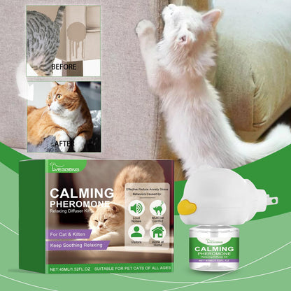 Yegebang Cat Emotional Care Set
