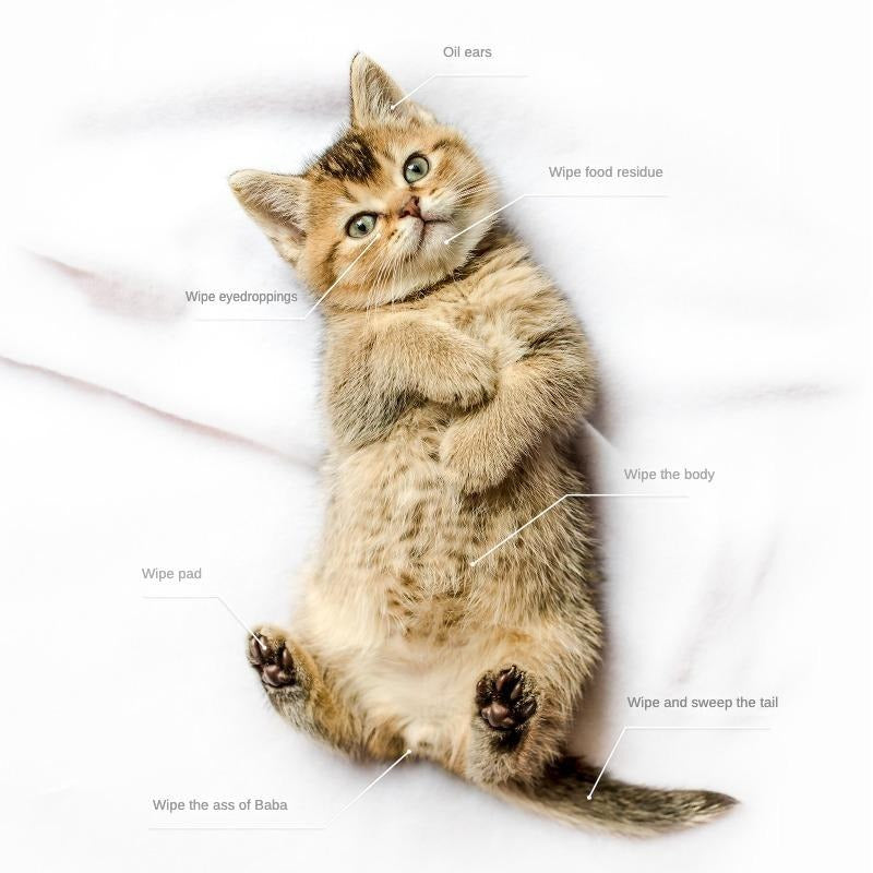 Deodorizing Bathing Wipes for Dogs and Cats