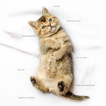 Deodorizing Bathing Wipes for Dogs and Cats