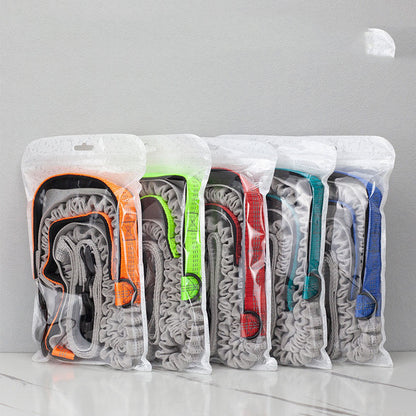 Running Dog Leash