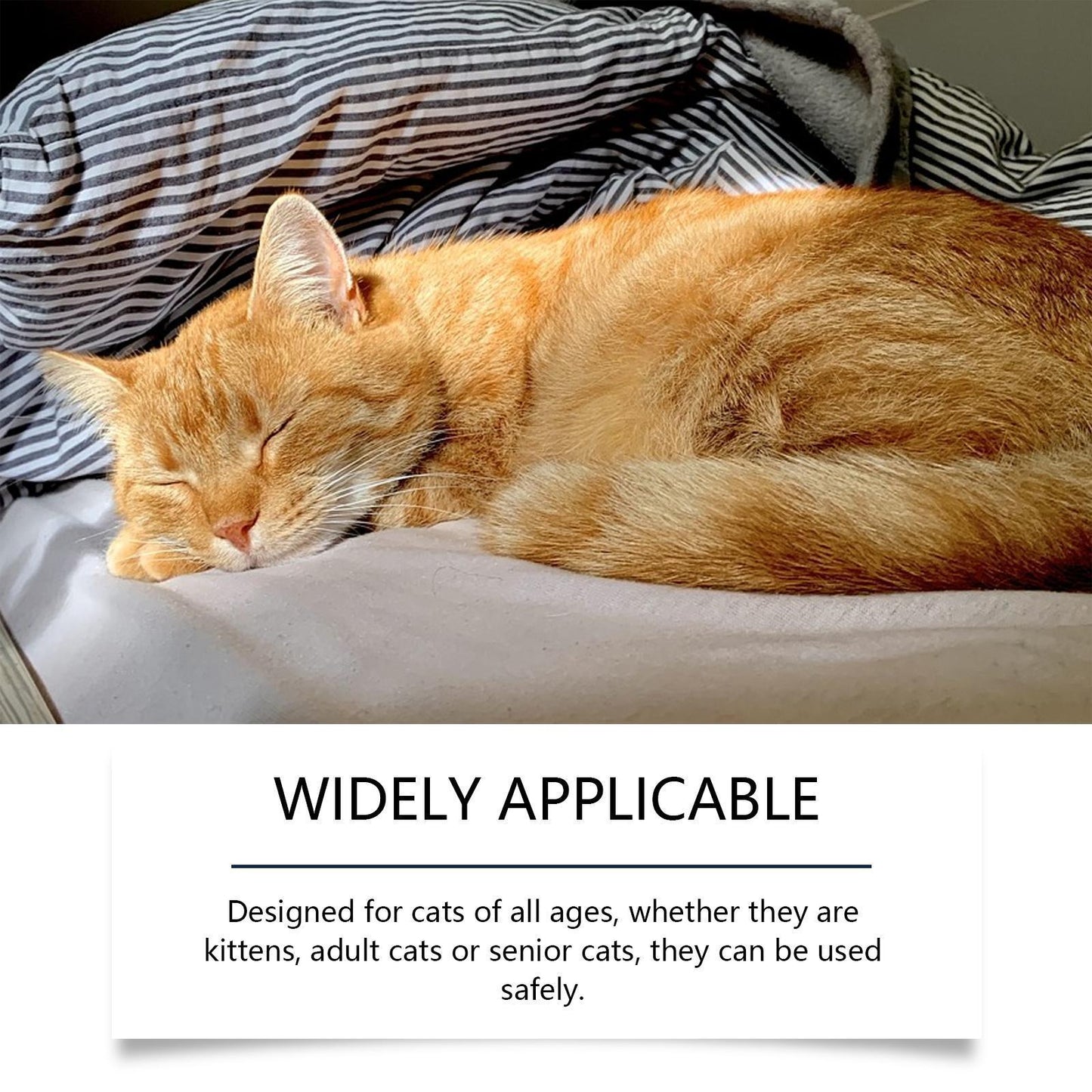 Yegebang Cat Emotional Care Set