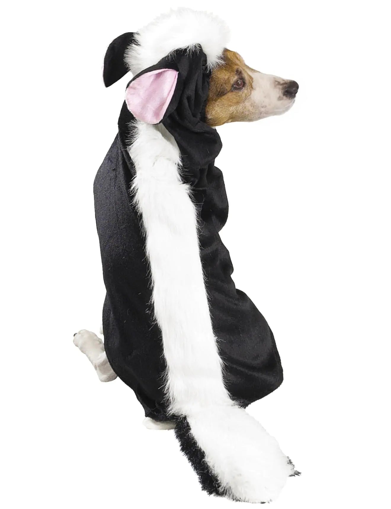 Halloween Dog Skunk Costume