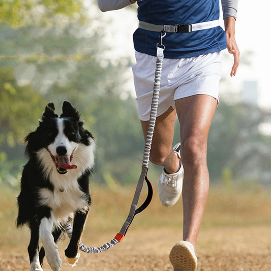 Running Dog Leash
